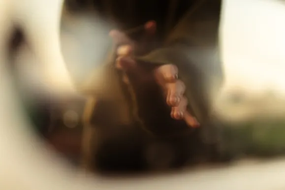 Casino Royal Slots Support